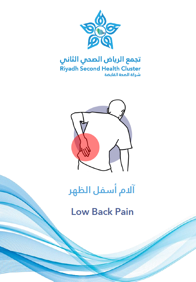 HEM1.24.0001675 Low Back Pain.pdf